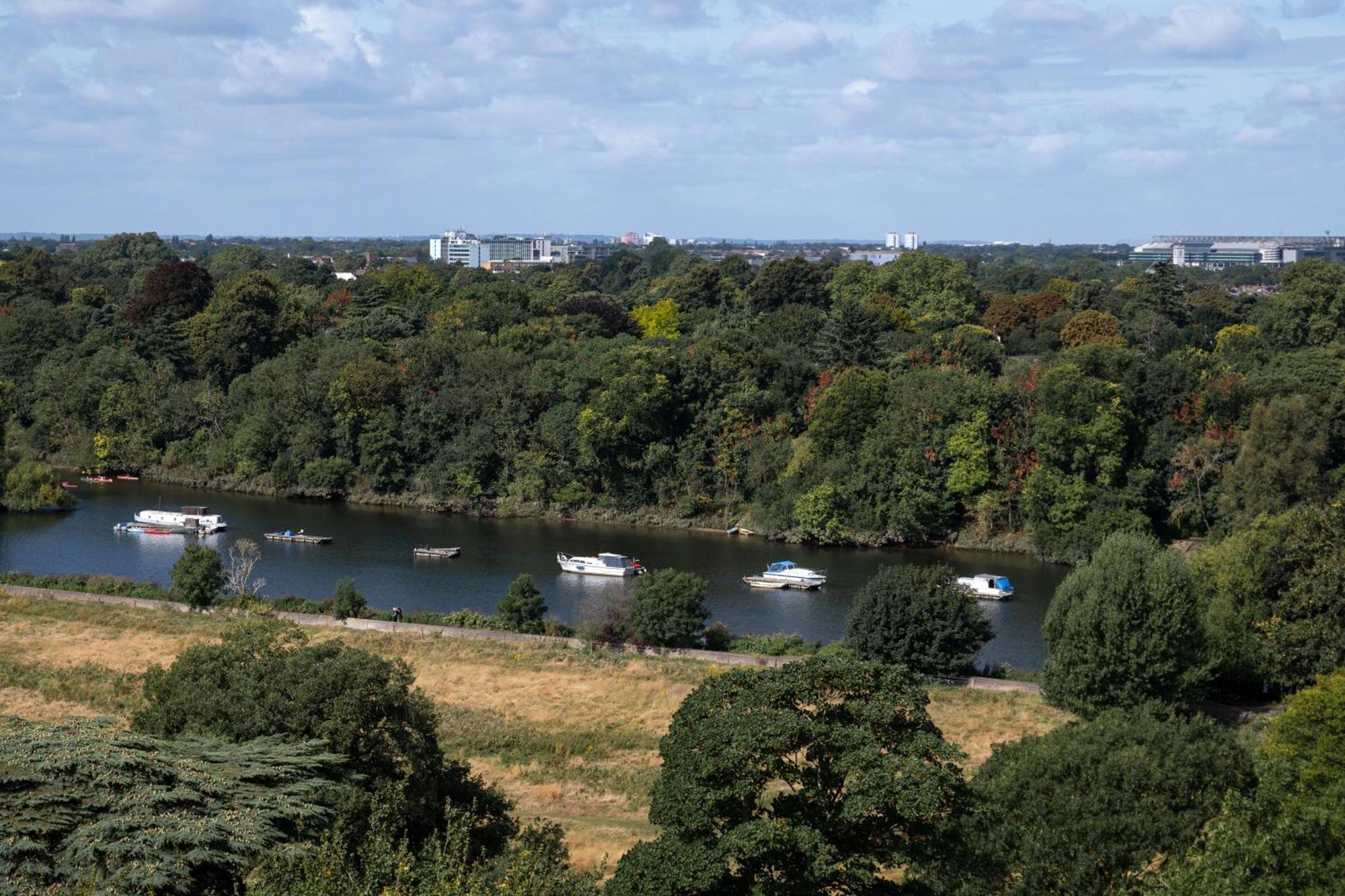 Отель The Petersham Ричмонд